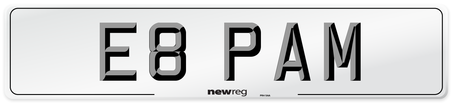 E8 PAM Number Plate from New Reg